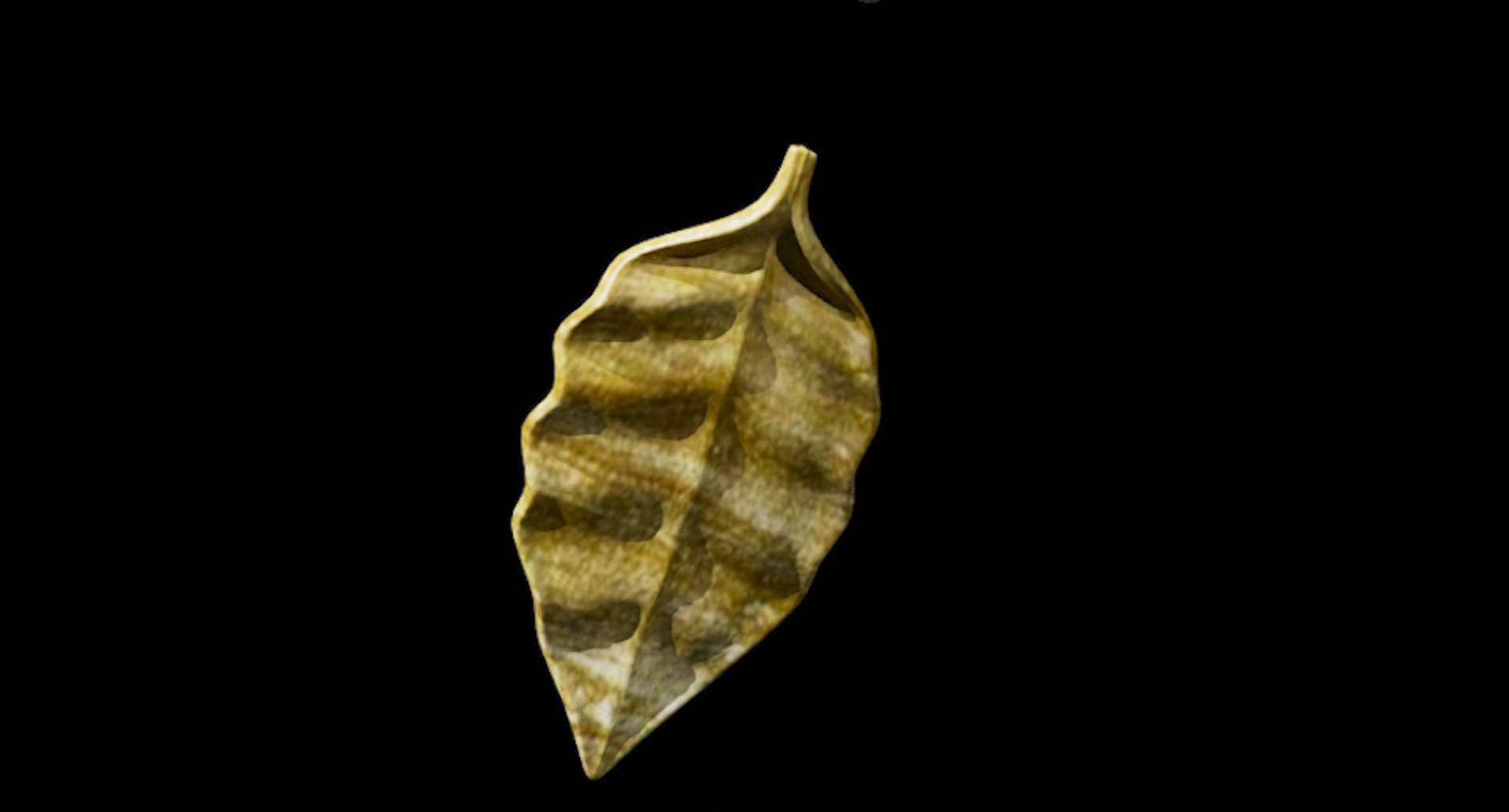 Still from a digital animation showing a leaf on a black backround